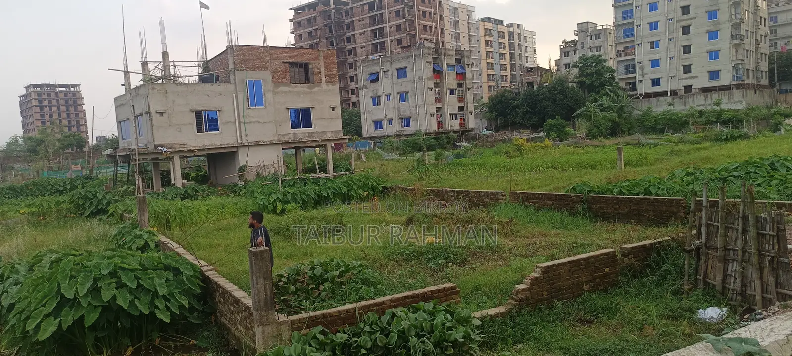 জরুরি বিক্রি: উত্তর বাড্ডা ২৫ নং লেনে ৬ কাঠা রেডি বাউন্ডারি প্লট
