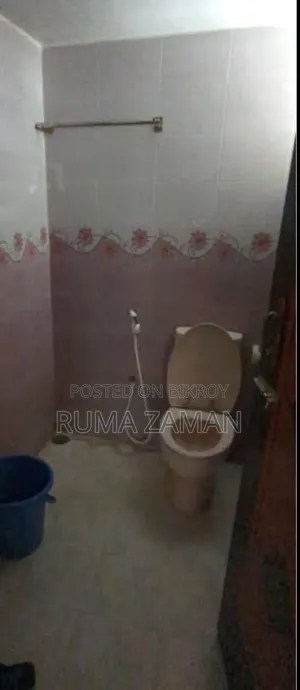 Furnished 4bdrm House in Mohammadpur for Rent