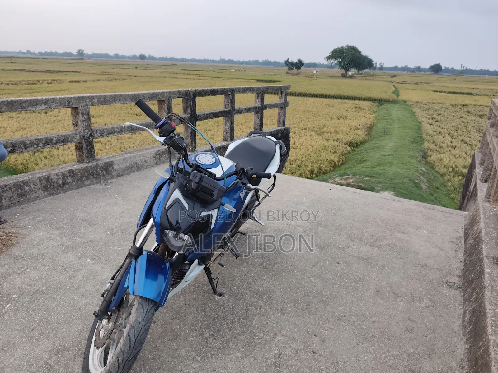 TVS Apache 160 4V 2019 Blue