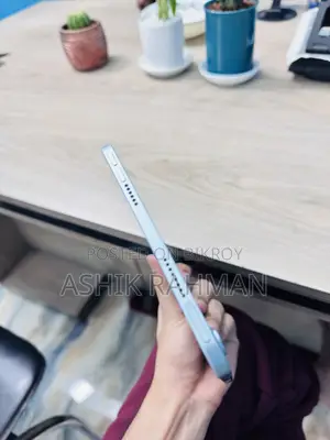 অ্যাপল আইপ্যাড মিনি ৭ ২৫৬ জিবি নীল