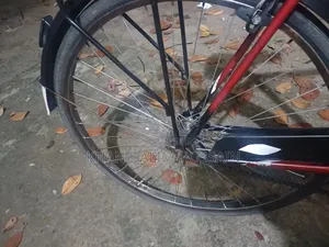 এ্যাভন নতুন