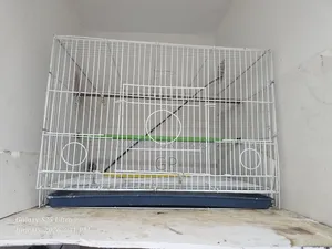 পাখির খাঁচা