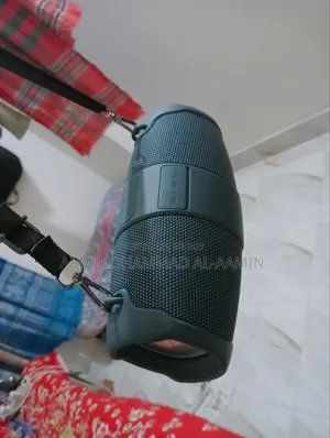 Extreme Brand Speaker