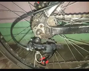 ঘিয়ার সাইকেল