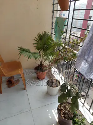 3bdrm Apartment in Mohammadpur Beribadh for Rent