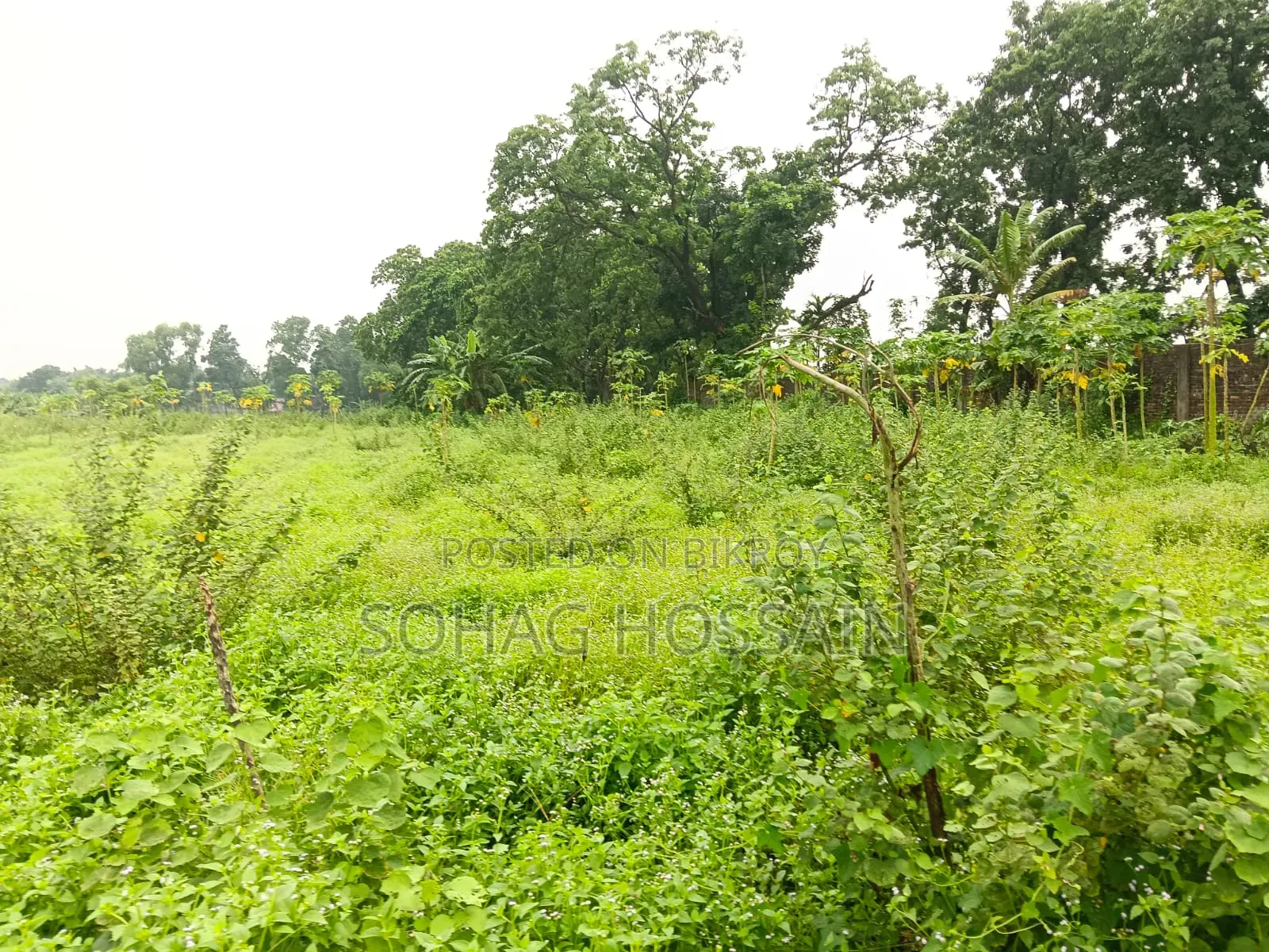 Large high land for sale in Singair near Dhaka