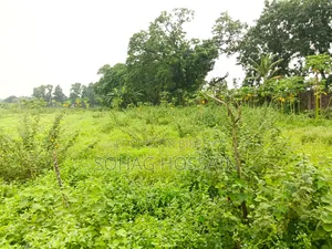Large high land for sale in Singair near Dhaka