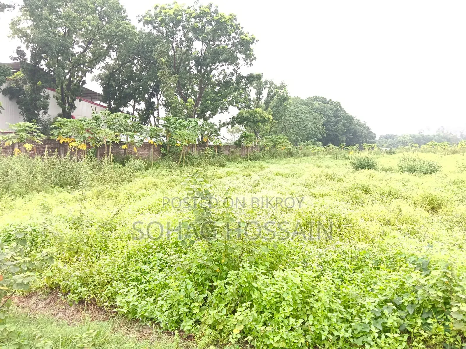Large high land for sale in Singair near Dhaka