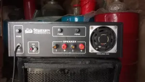 12" Speaker
