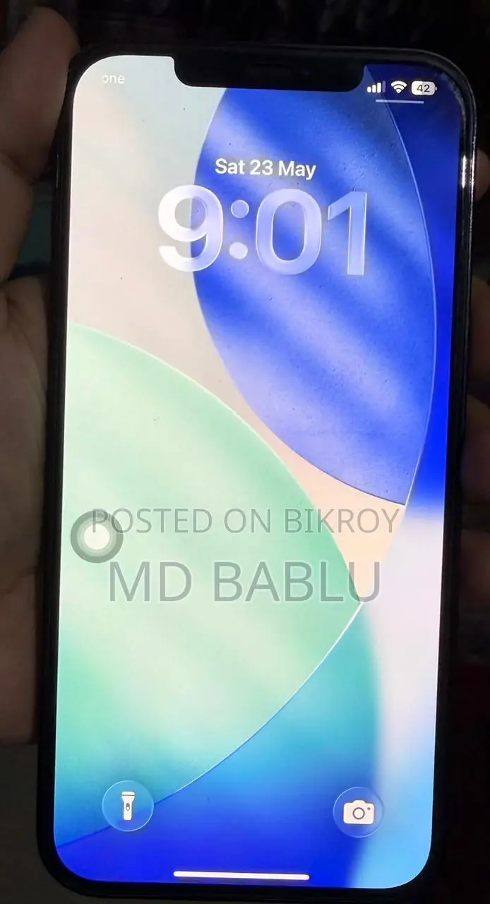 Apple iPhone 12 Pro Max 256 GB Blue