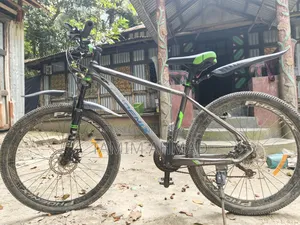 Phoenix Cycle Dual Disc Brake