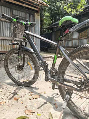 Phoenix Cycle Dual Disc Brake