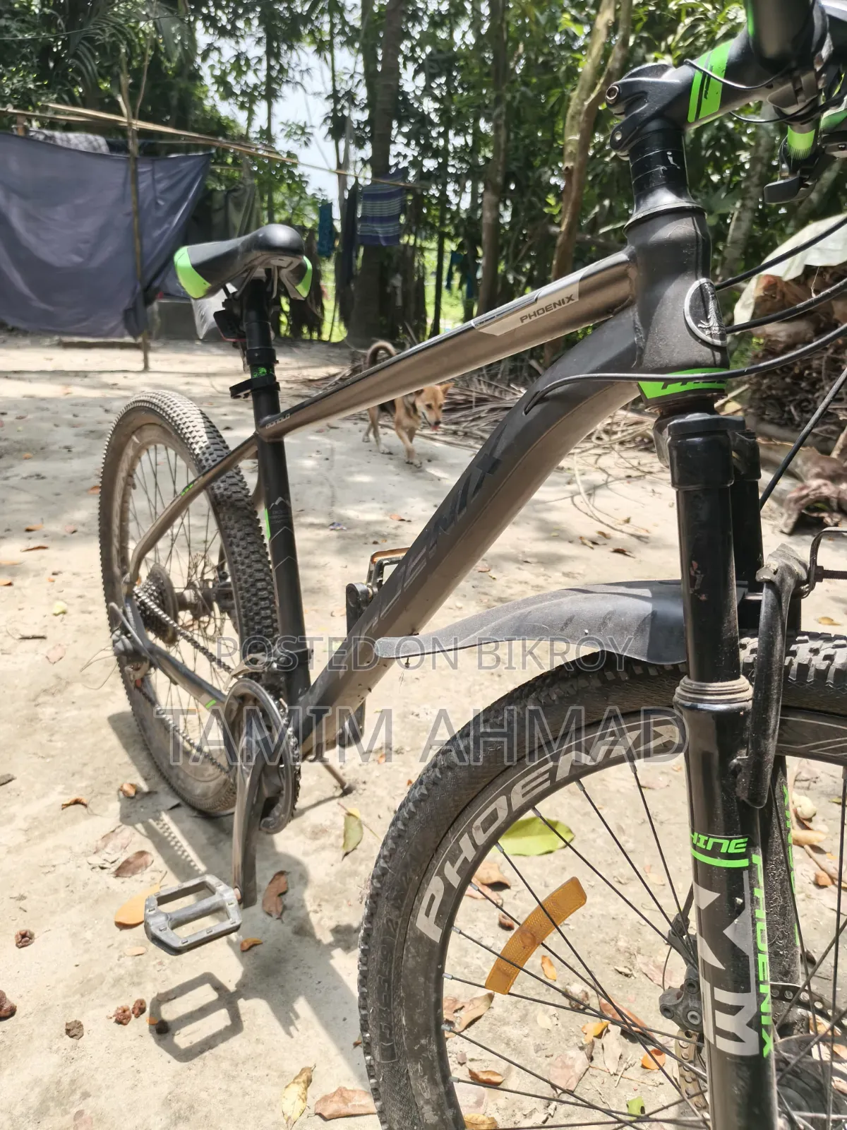 Phoenix Cycle Dual Disc Brake
