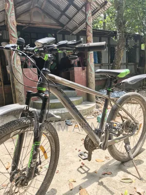 Phoenix Cycle Dual Disc Brake