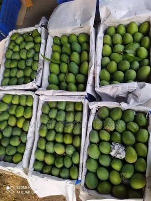 Fresh and Delicious Mangoes from Rajshahi