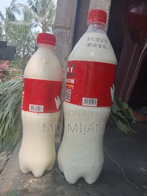 Cow Milk for Sale