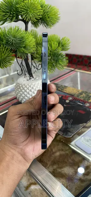 Apple iPhone 12 Pro Max 256 GB Blue