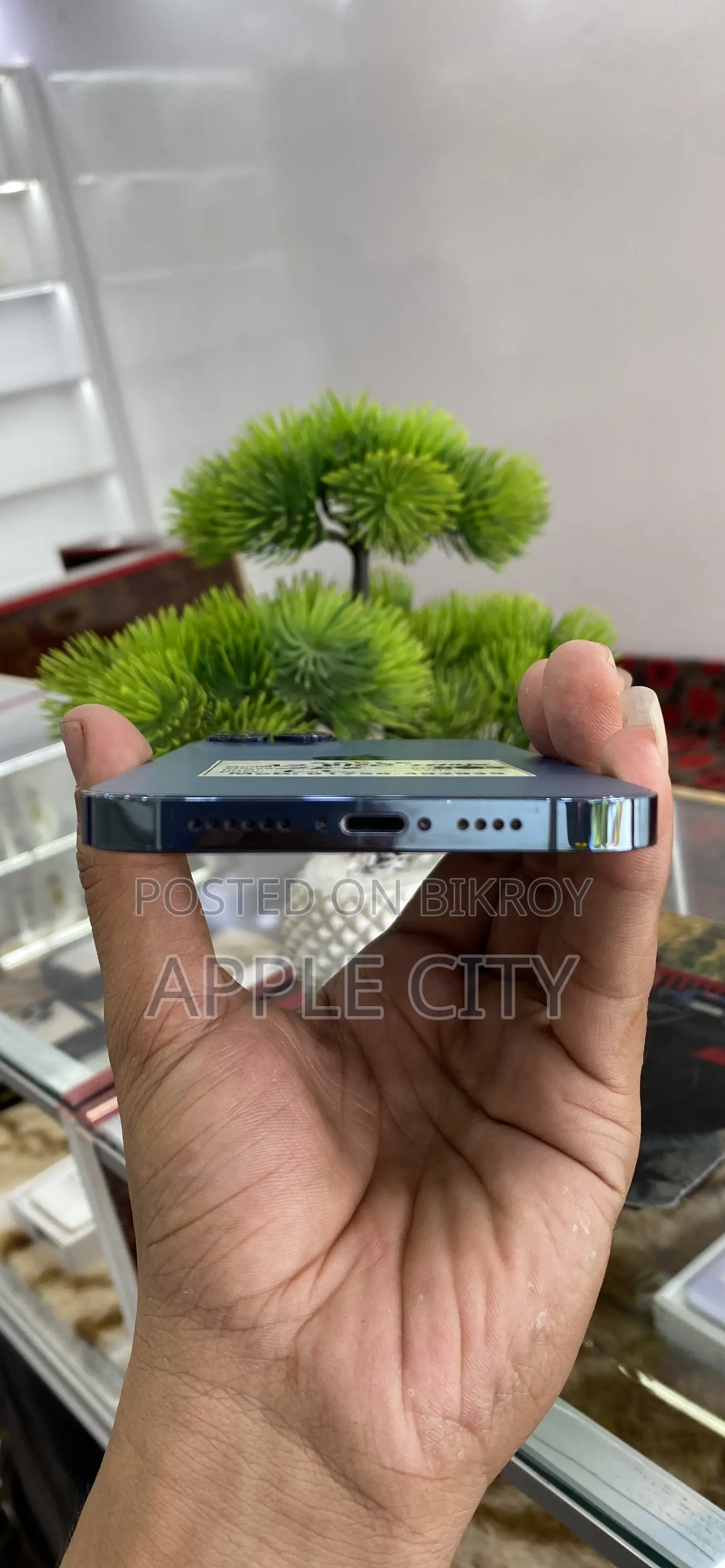 Apple iPhone 12 Pro Max 256 GB Blue