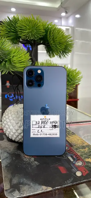 অ্যাপল আইফোন ১২ প্রো ম্যাক্স ২৫৬ জিবি ব্লু
