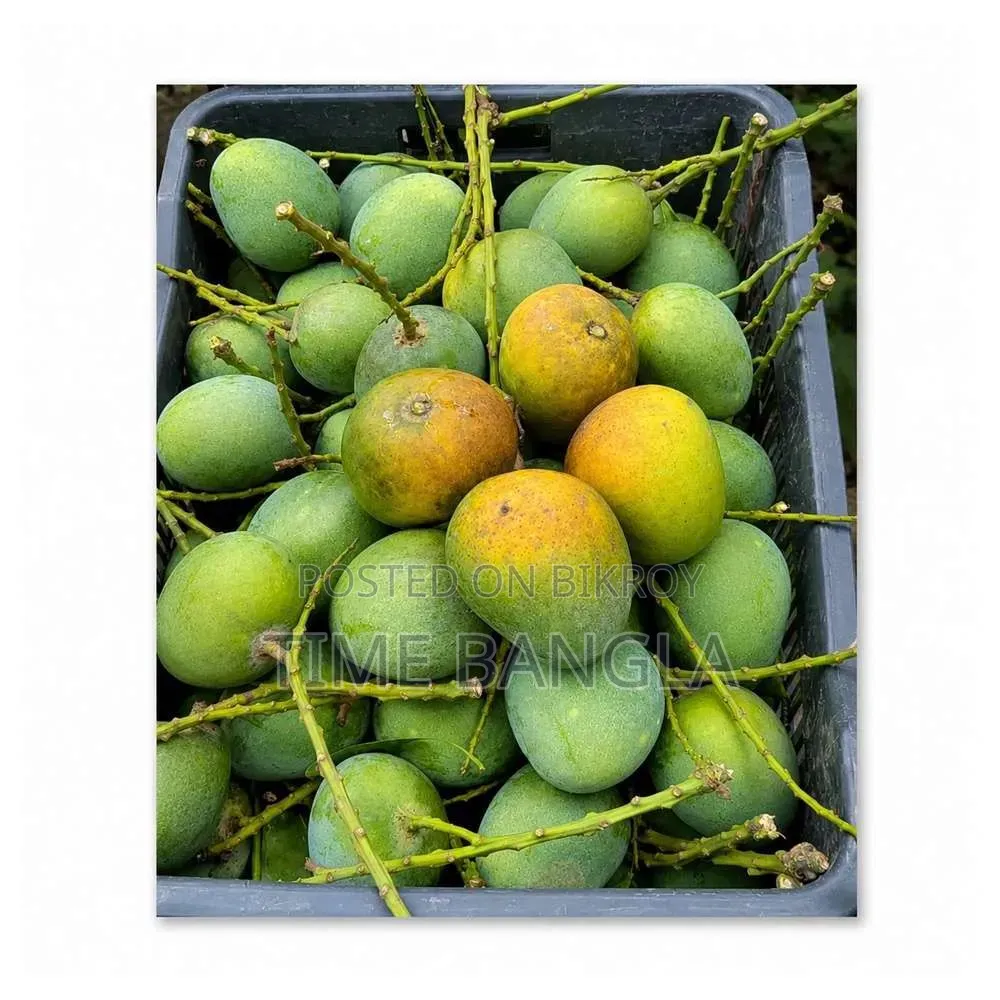Rajshahi Himsagar Mango