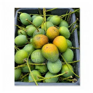 Rajshahi Himsagar Mango