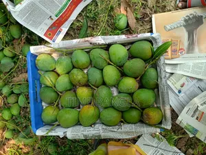 Rajshahi Himsagar Mango