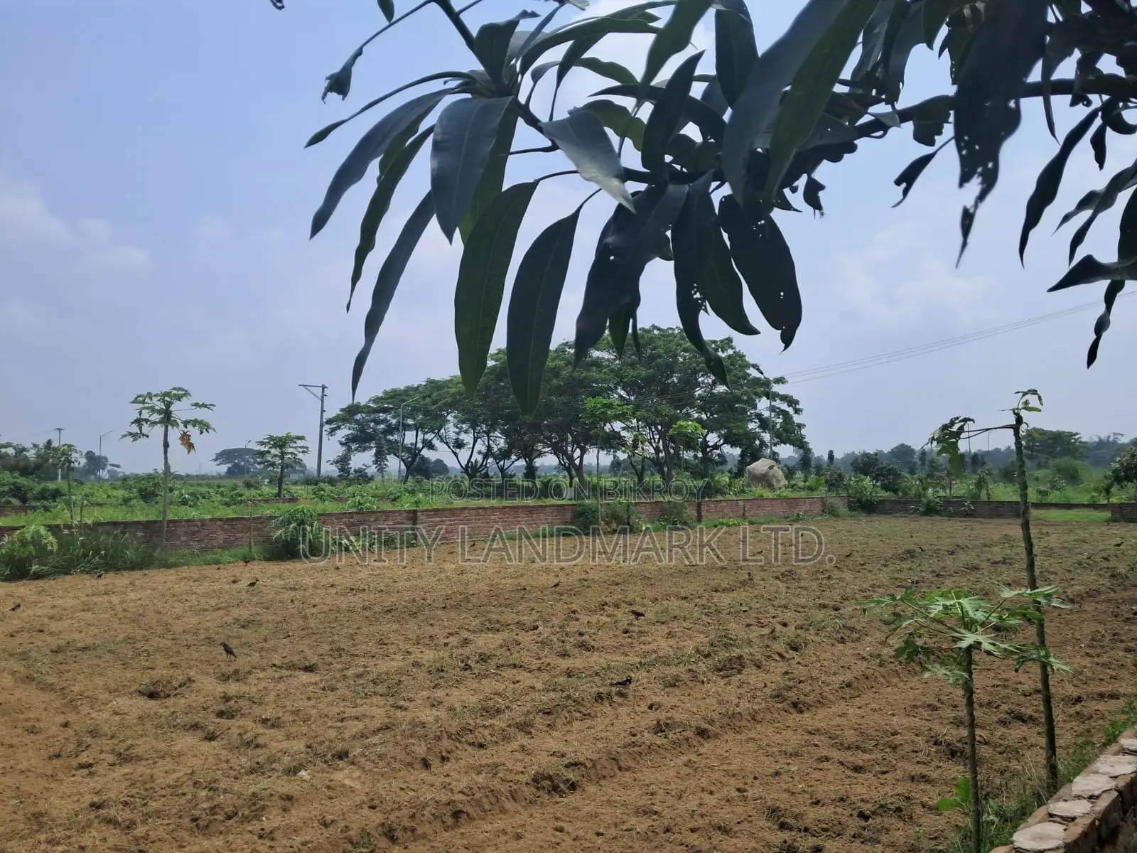 Prime 20 Katha Mega Plot for Sale at Tribhuban Dreamland City