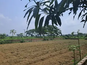 Prime 20 Katha Mega Plot for Sale at Tribhuban Dreamland City