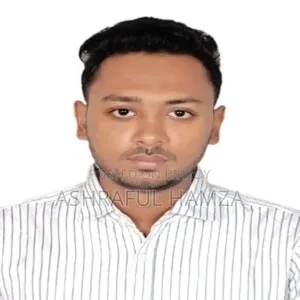 Ashraful Hamza