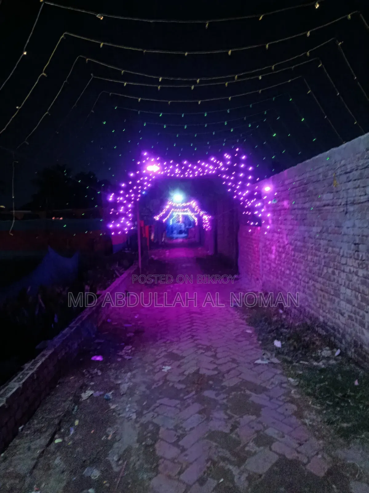 Decoration Lights and Accessories
