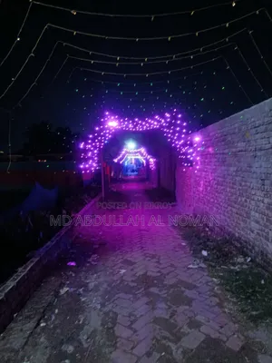 Decoration Lights and Accessories