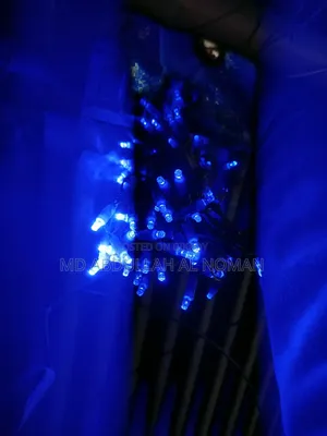 Decoration Lights and Accessories