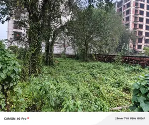 5 Katha Ready Plot for Sale in Block M, Bashundhara Residential Area