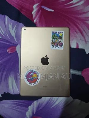 Apple iPad Wi-Fi 32 GB Pink