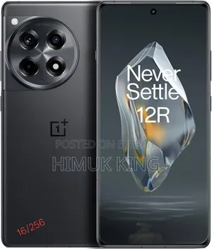 OnePlus 12R 256 GB Gray