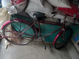 Hero Bicycle