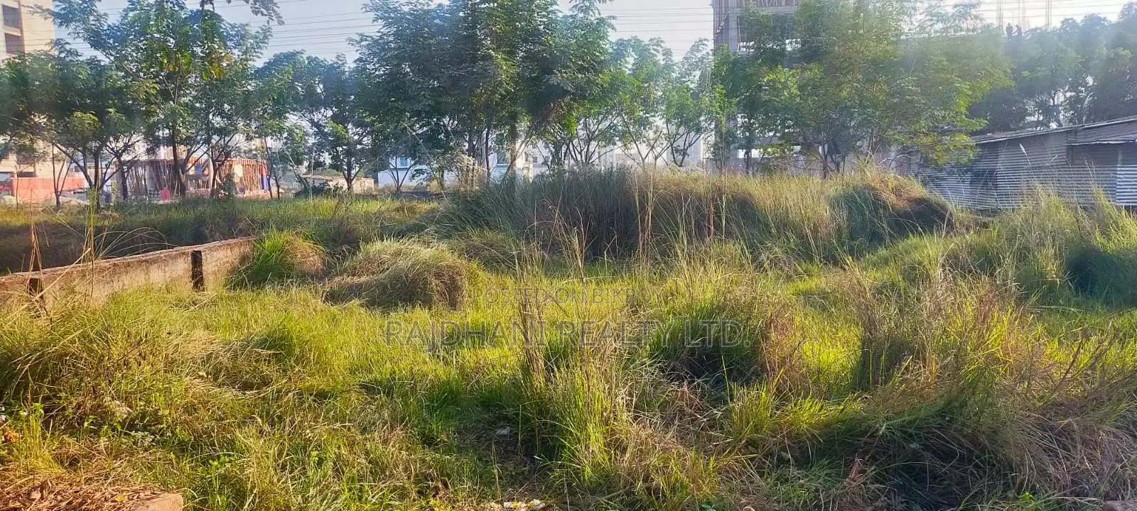 In Dream Bashundhara: 4 Katha Ready Plot for Sale in Block-L