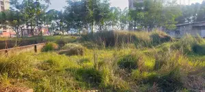 In Dream Bashundhara: 4 Katha Ready Plot for Sale in Block-L