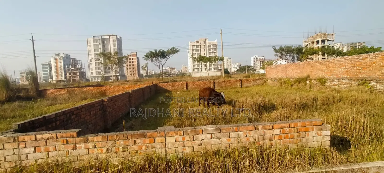 In Dream Bashundhara: 4 Katha Ready Plot for Sale in Block-L