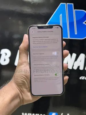 Apple iPhone 12 Pro Max 256 GB Rose Gold