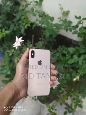 Apple iPhone XS 512 GB Rose Gold