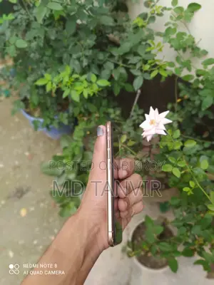 Apple iPhone XS 512 GB Rose Gold