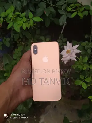 Apple iPhone XS 512 GB Rose Gold