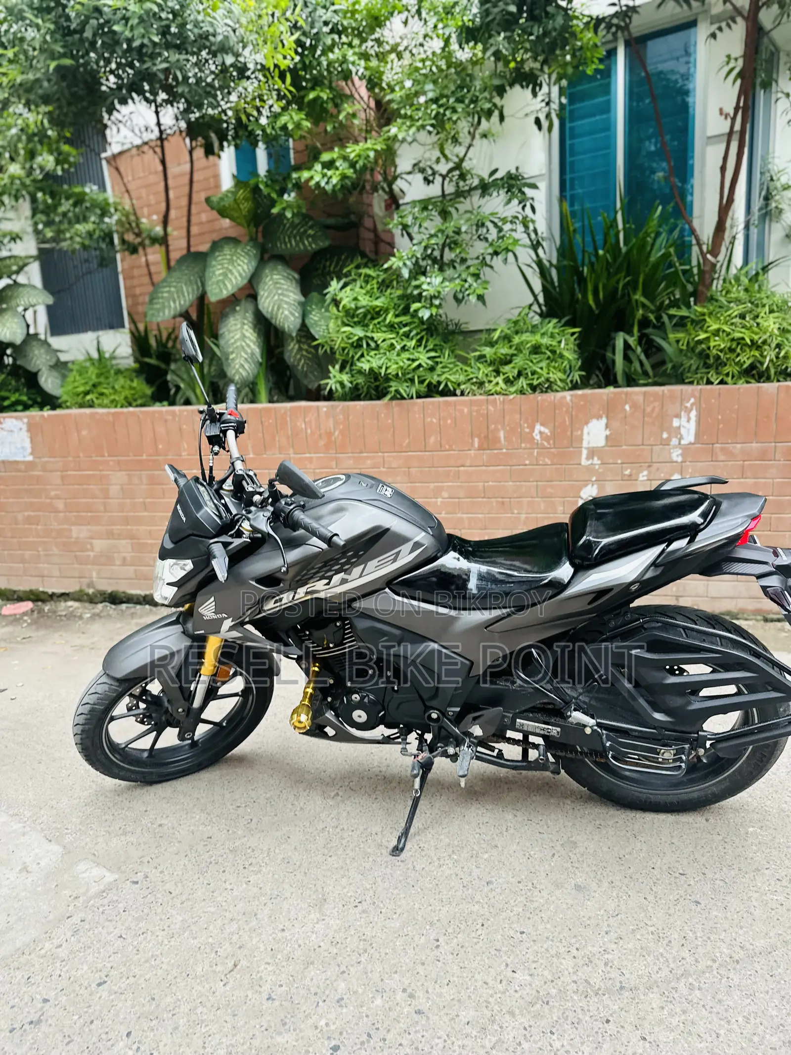 Honda Hornet 2025 Gray