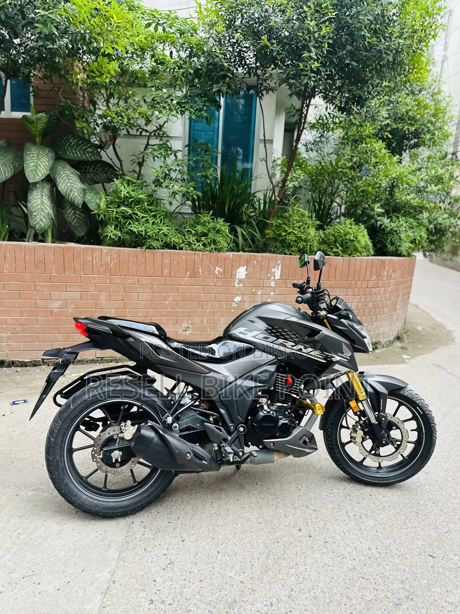 Honda Hornet 2025 Gray