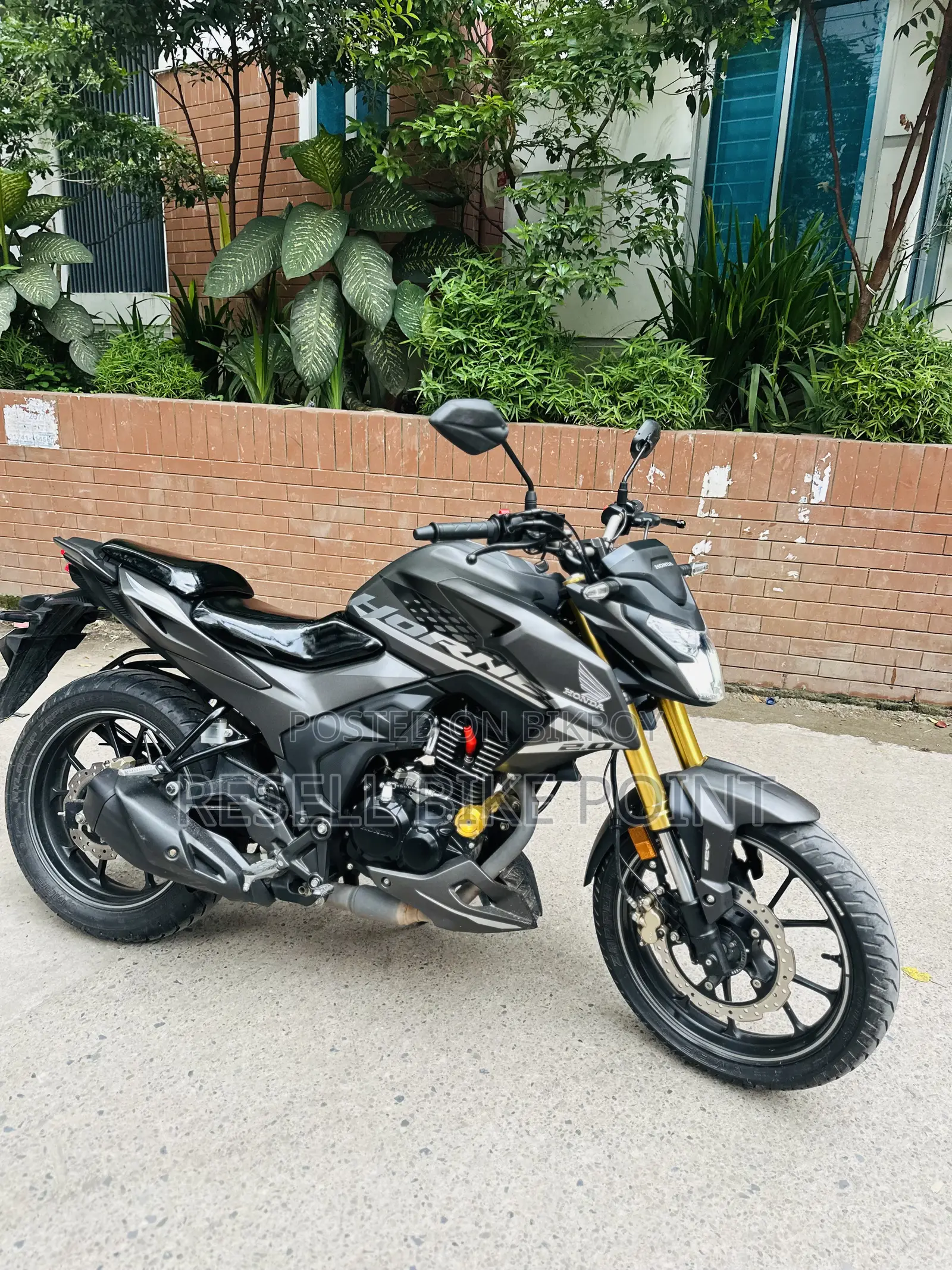 Honda Hornet 2025 Gray