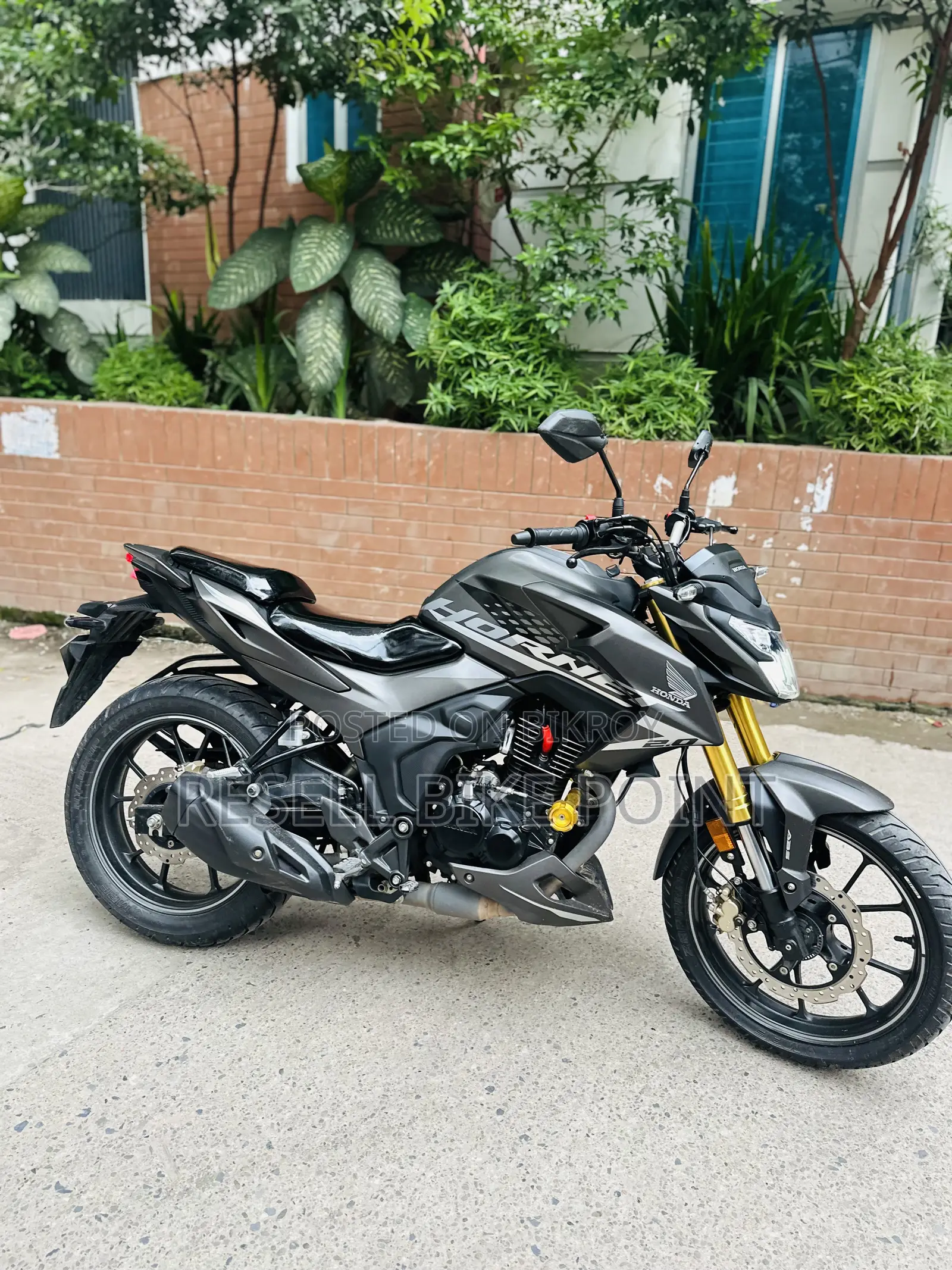 Honda Hornet 2025 Gray