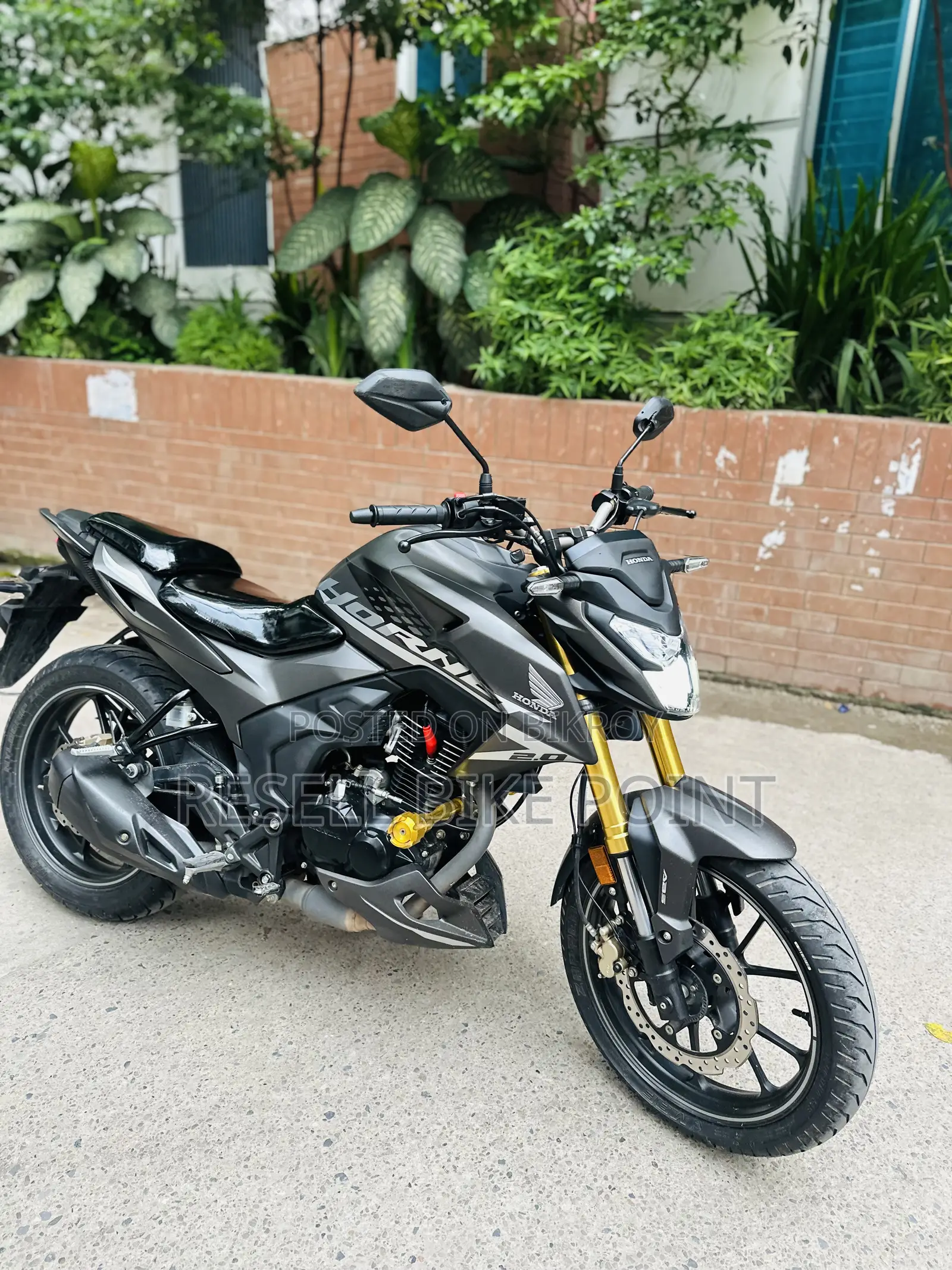 Honda Hornet 2025 Gray