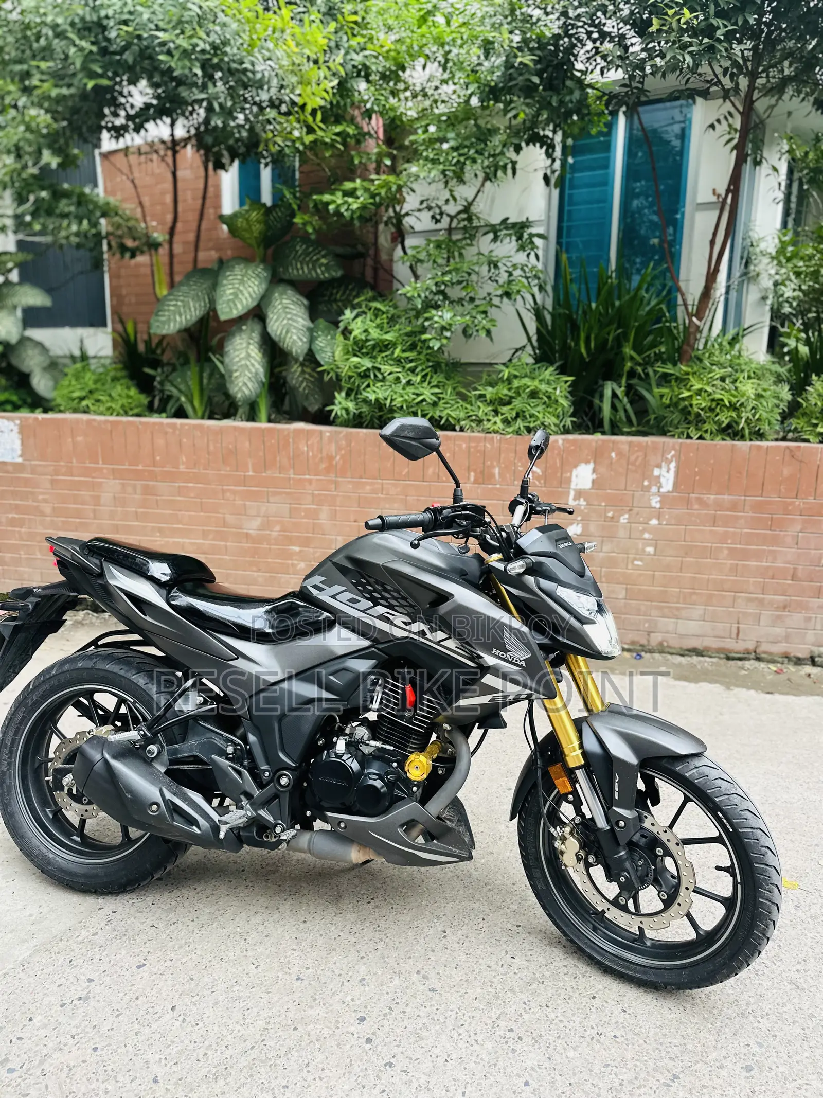 Honda Hornet 2025 Gray
