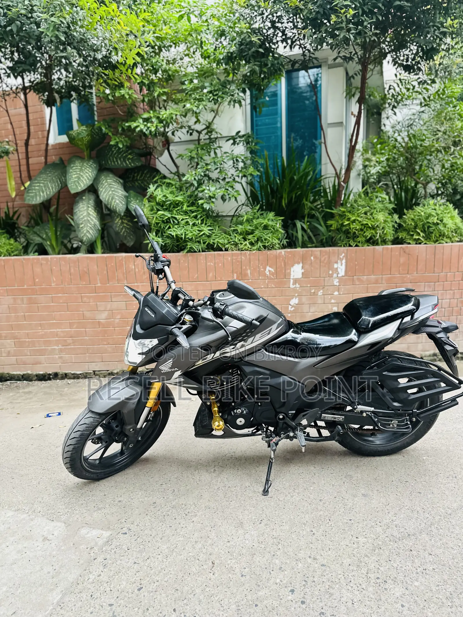 Honda Hornet 2025 Gray